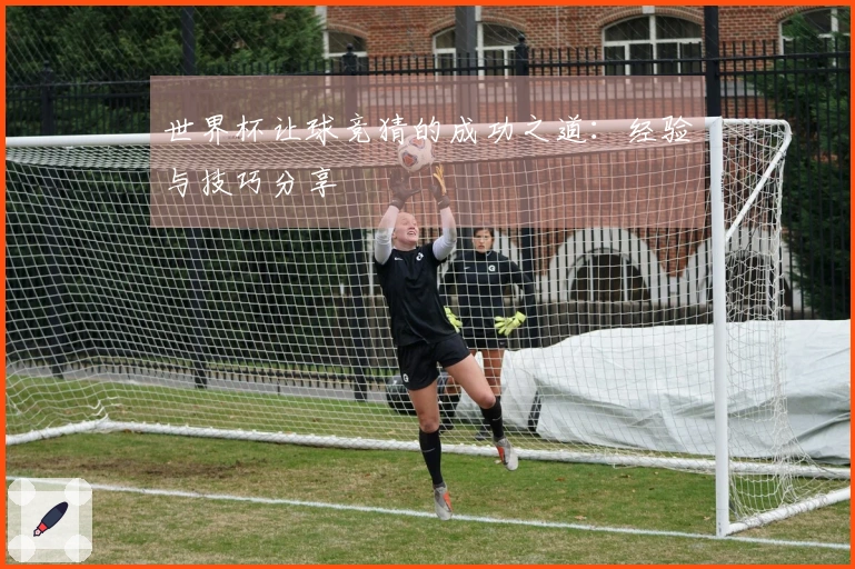 世界杯让球竞猜的成功之道：经验与技巧分享