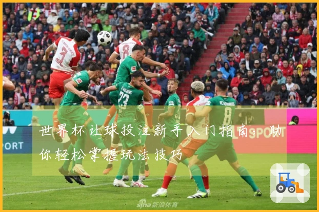 世界杯让球投注新手入门指南，助你轻松掌握玩法技巧