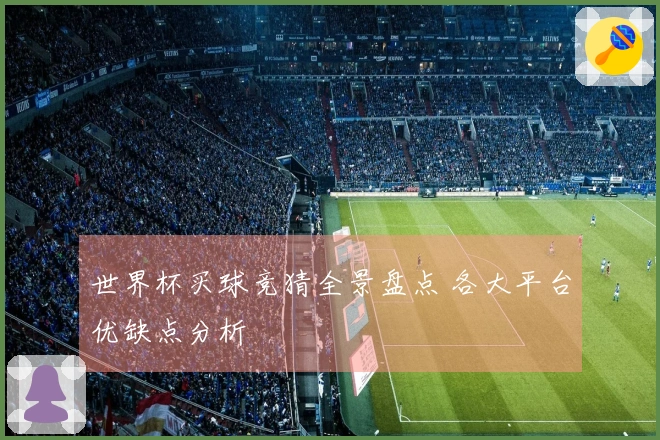 世界杯买球竞猜全景盘点 各大平台优缺点分析
