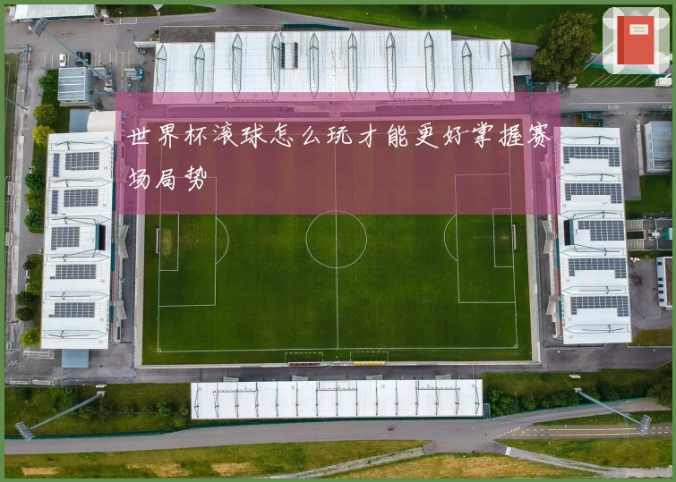 世界杯滚球怎么玩才能更好掌握赛场局势