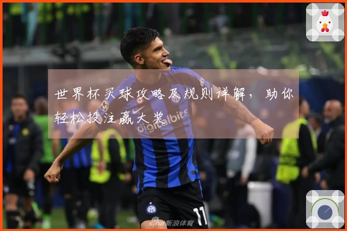 世界杯买球攻略及规则详解，助你轻松投注赢大奖