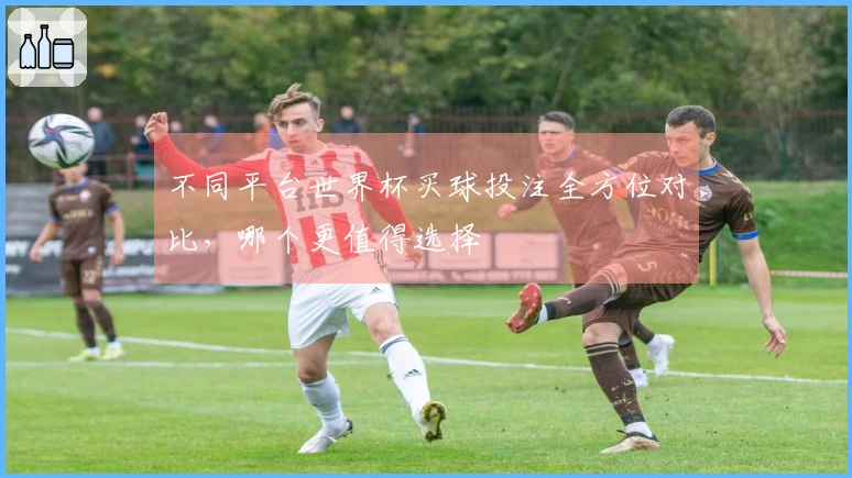 不同平台世界杯买球投注全方位对比，哪个更值得选择