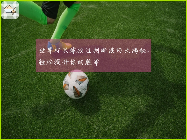 世界杯买球投注判断技巧大揭秘，轻松提升你的胜率