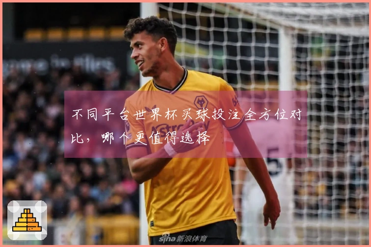 不同平台世界杯买球投注全方位对比，哪个更值得选择
