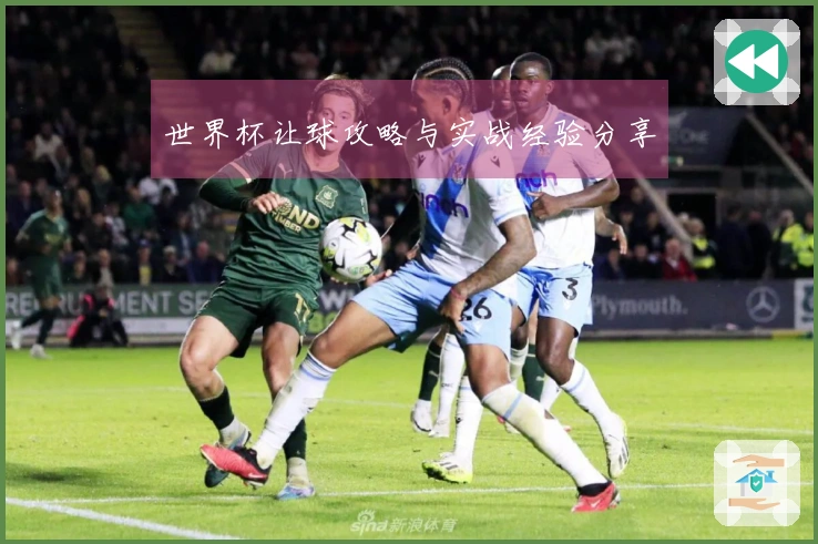 世界杯让球攻略与实战经验分享