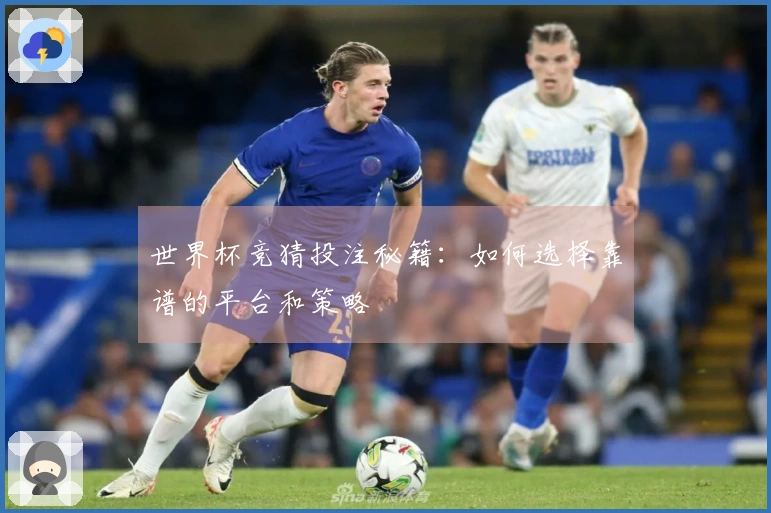 世界杯竞猜投注秘籍：如何选择靠谱的平台和策略