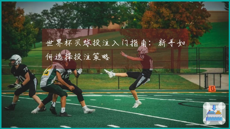 世界杯买球投注入门指南：新手如何选择投注策略
