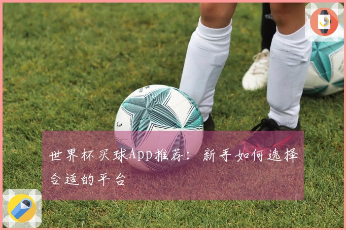 世界杯买球App推荐：新手如何选择合适的平台
