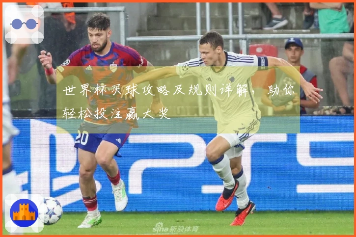 世界杯买球攻略及规则详解，助你轻松投注赢大奖